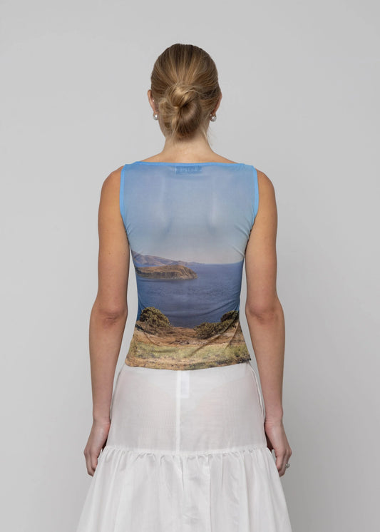 Transcend Mesh Boatneck Top