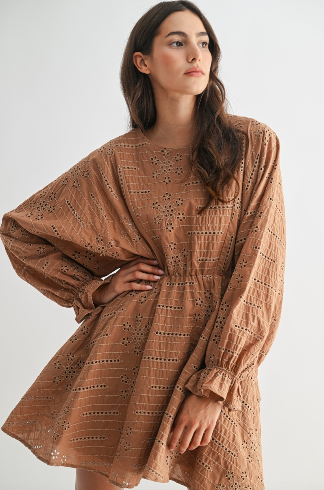 Eloise Long Sleeve Mini Dress
