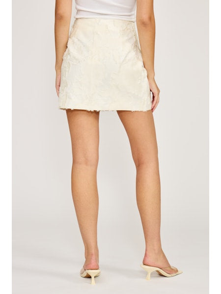 Aliana Mini Skirt