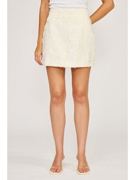 Aliana Mini Skirt