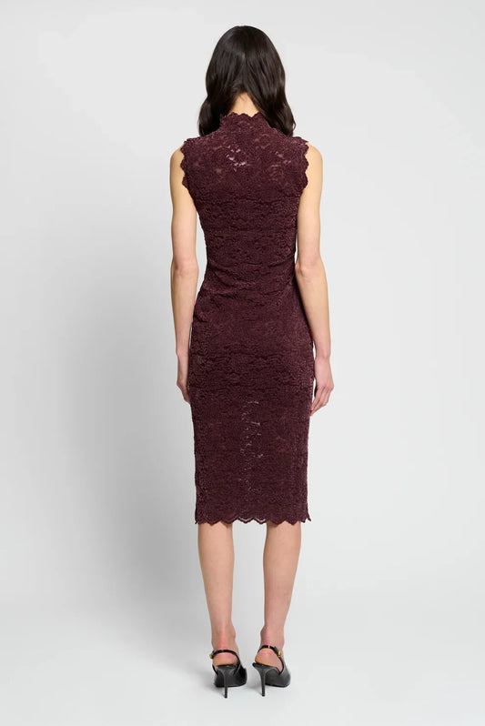 Tessa Sleeveless Stretch Lace Dress