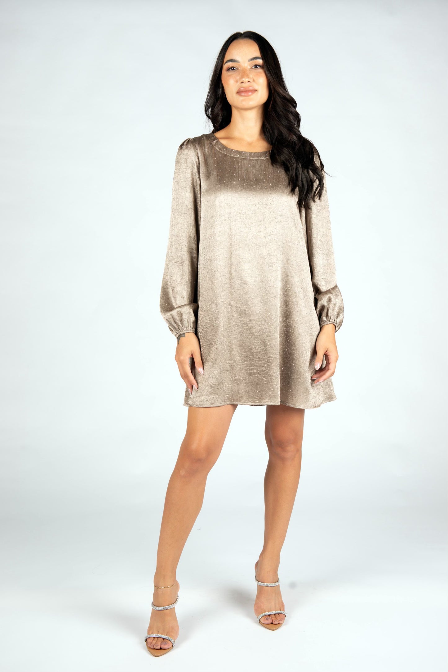 Embellished Mink Satin Dress