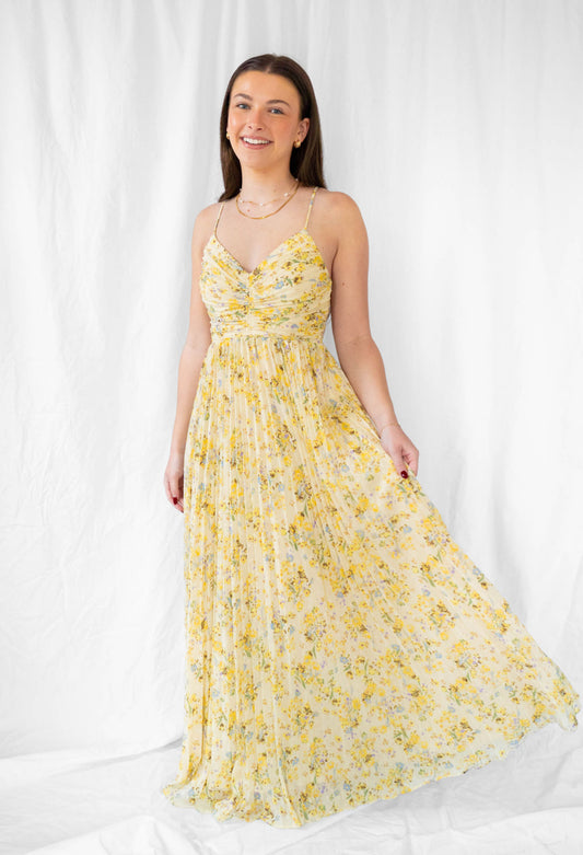 Rose Pleated Dress