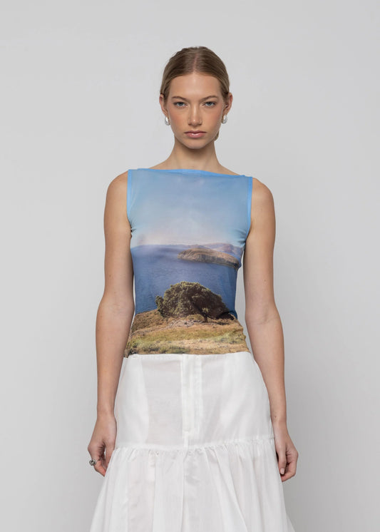 Transcend Mesh Boatneck Top