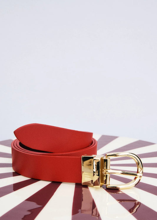 Magnet Belt