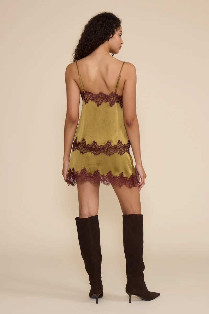 Vanessa Satin Lace Trim