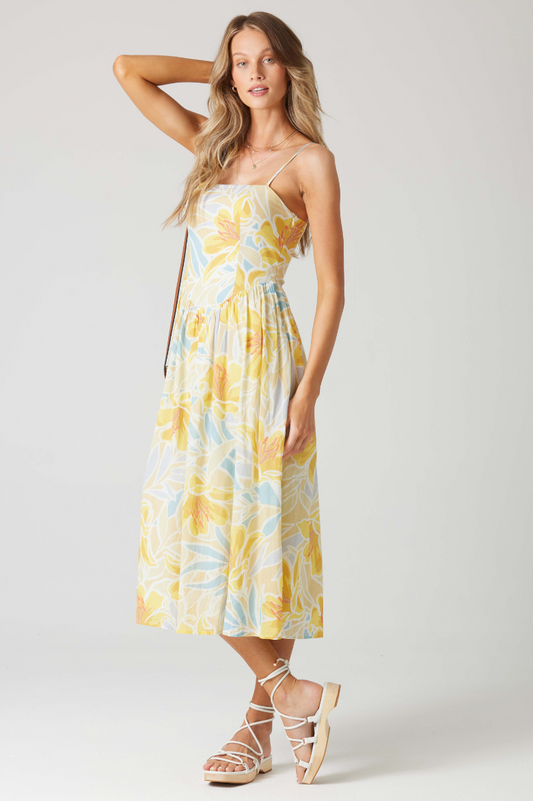 Hillview Lilly Dress