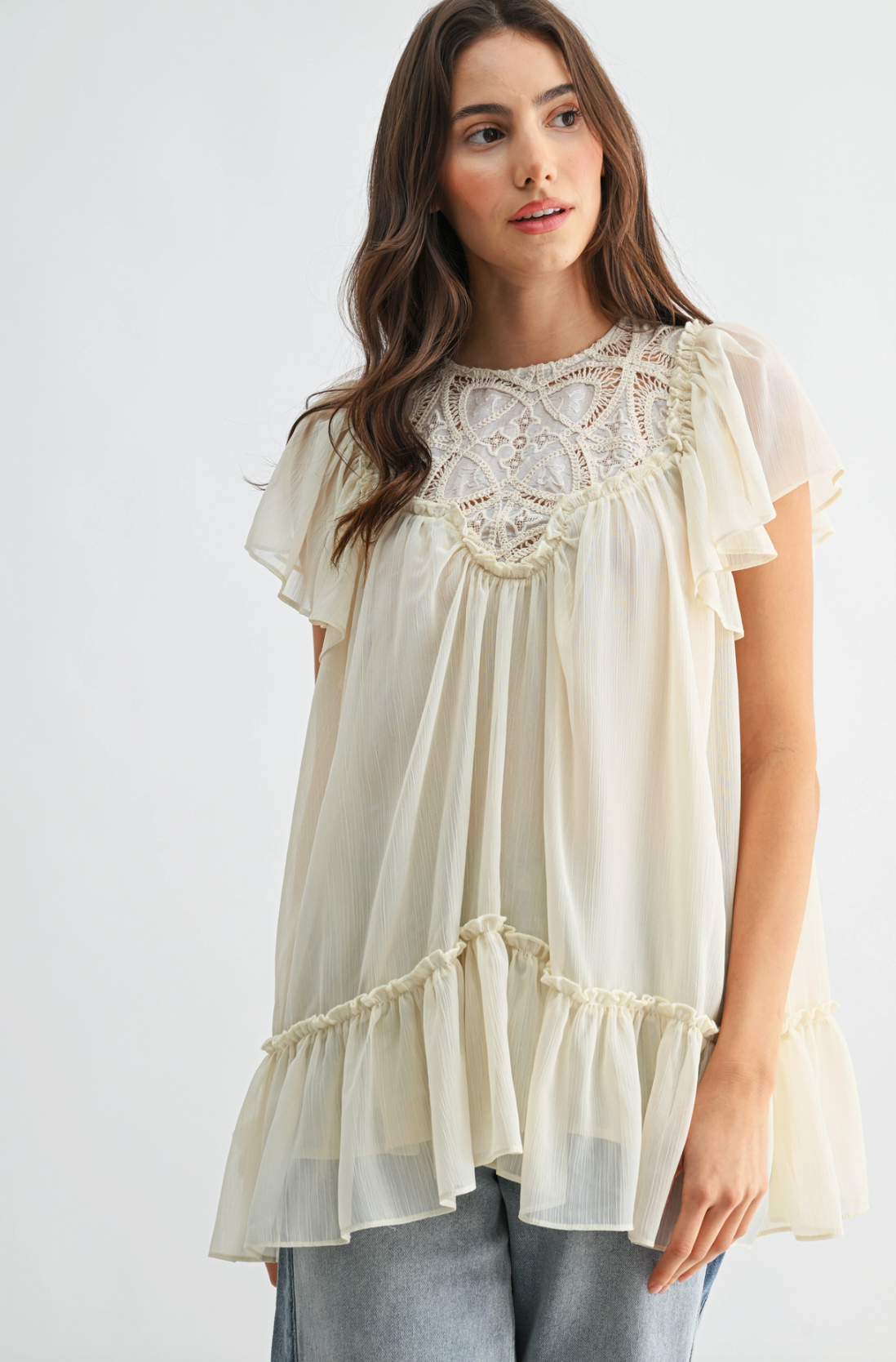 Sheer Lace Yoke Ruffle Sleeve Blouse