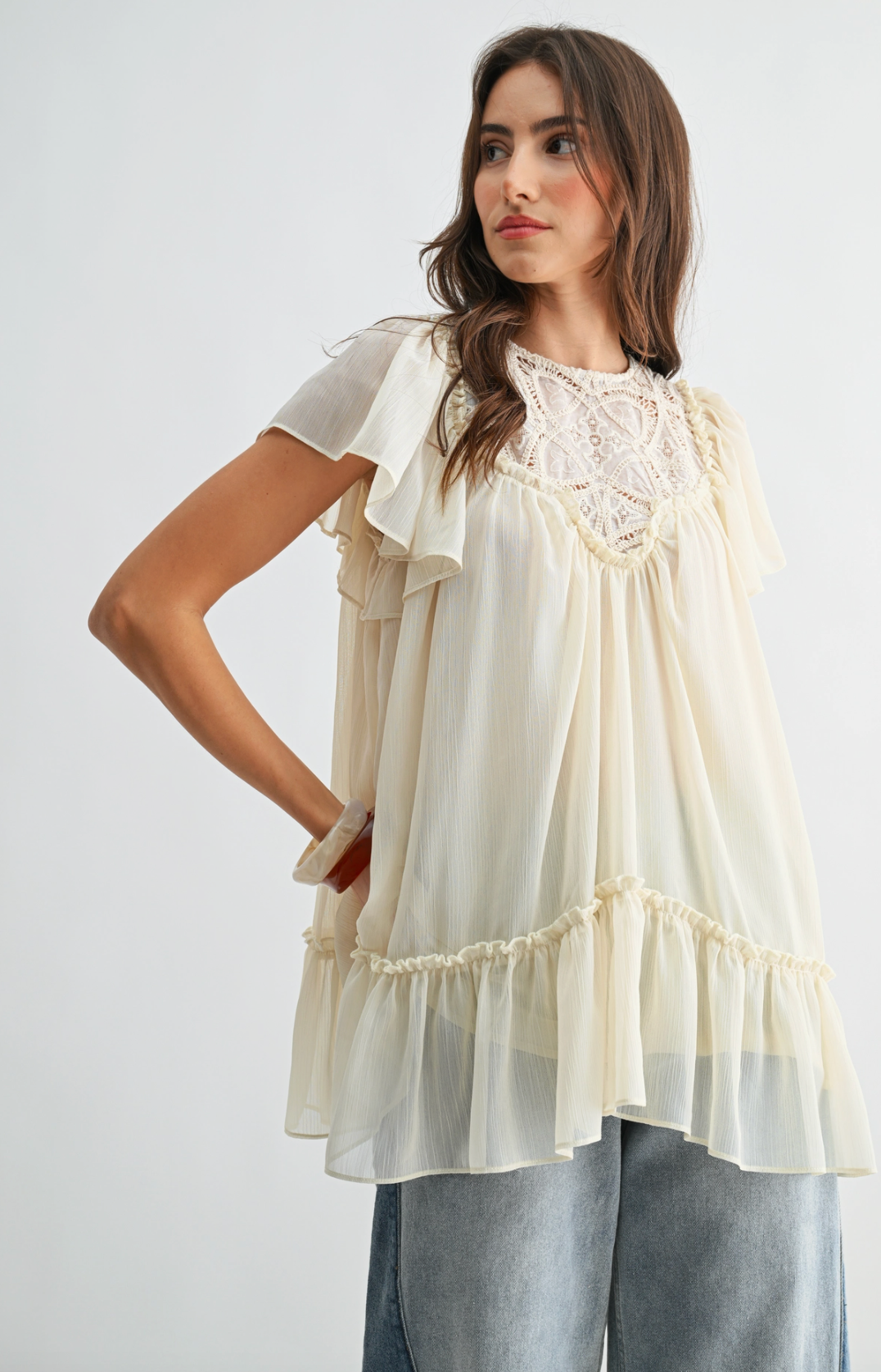 Sheer Lace Yoke Ruffle Sleeve Blouse