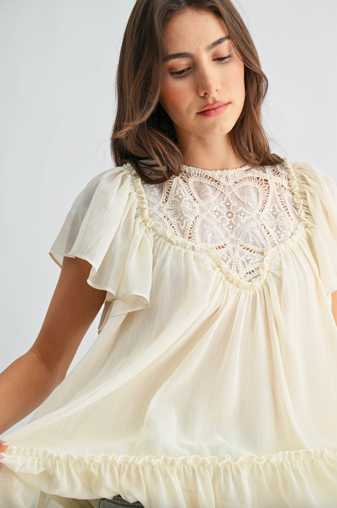 Sheer Lace Yoke Ruffle Sleeve Blouse