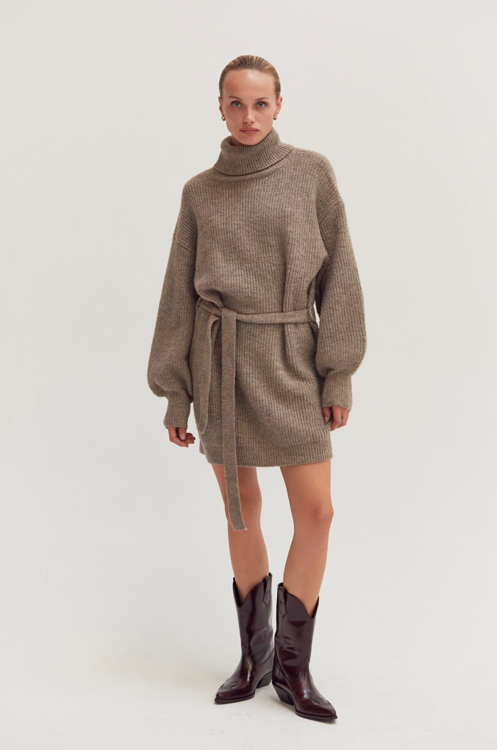 Audrina Turtleneck Sweater Dress