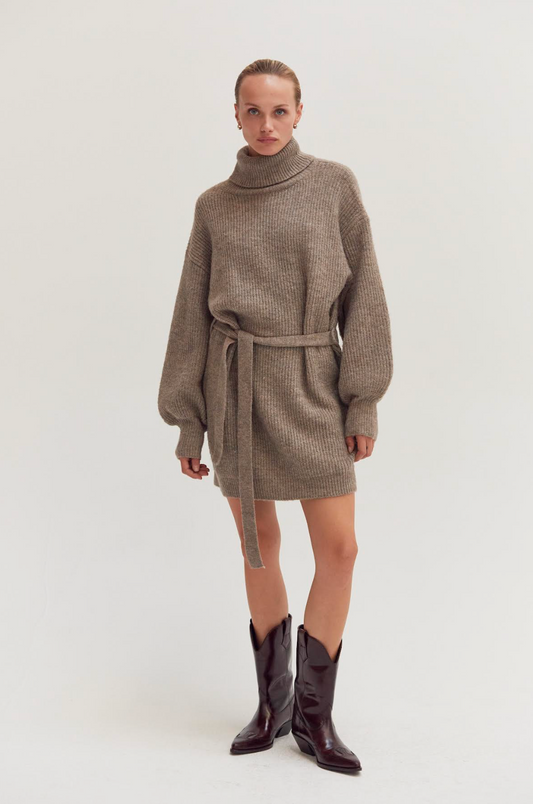 Audrina Turtleneck Sweater Dress