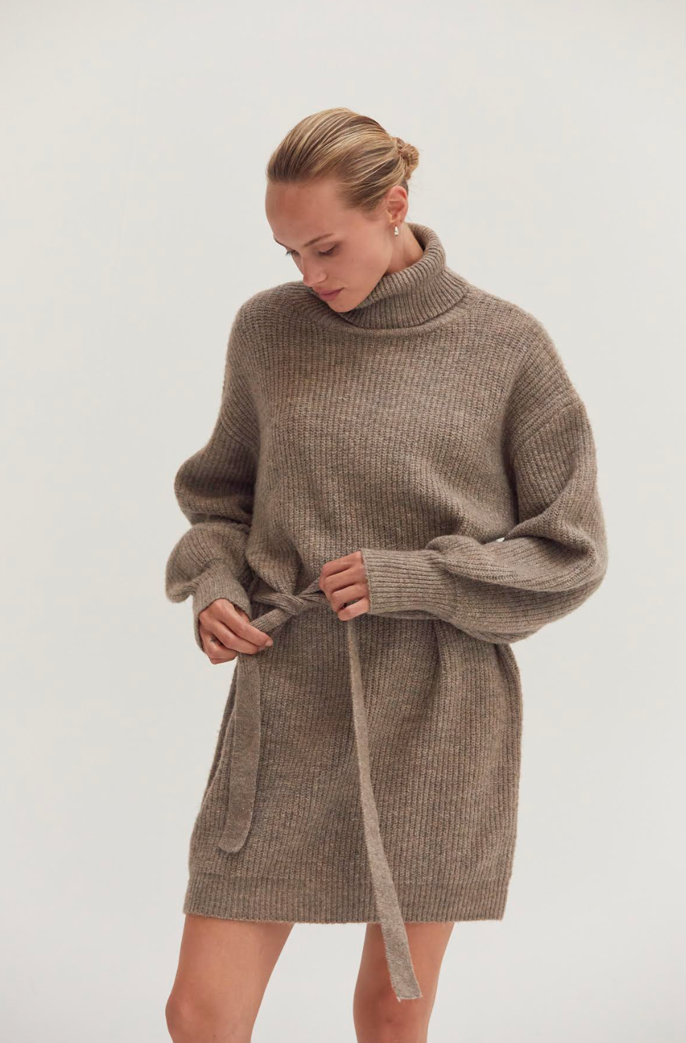 Audrina Turtleneck Sweater Dress