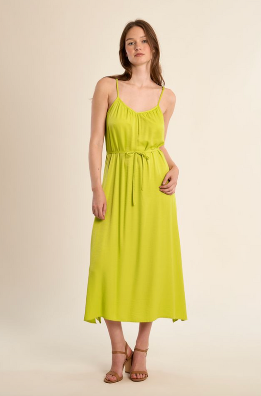 Anise Maxi